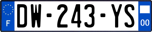 DW-243-YS