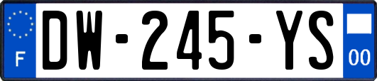 DW-245-YS