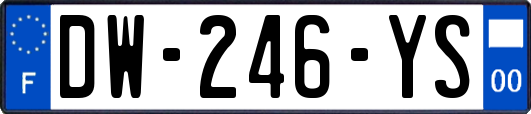 DW-246-YS