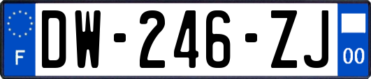 DW-246-ZJ