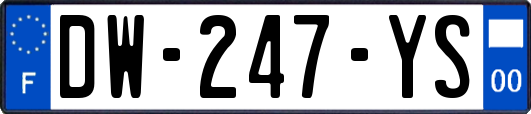 DW-247-YS