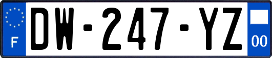 DW-247-YZ