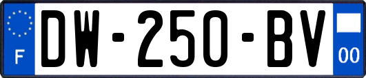 DW-250-BV