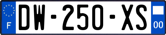 DW-250-XS