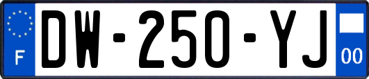 DW-250-YJ