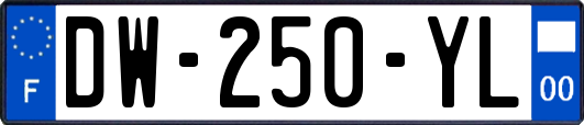 DW-250-YL