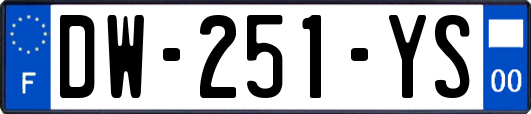 DW-251-YS