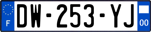 DW-253-YJ