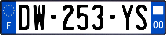 DW-253-YS