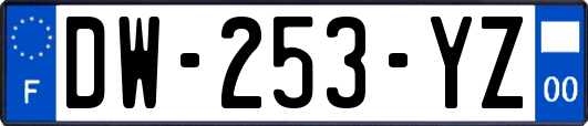 DW-253-YZ
