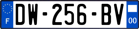 DW-256-BV