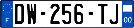 DW-256-TJ