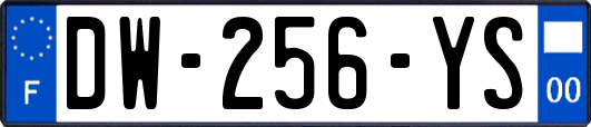 DW-256-YS