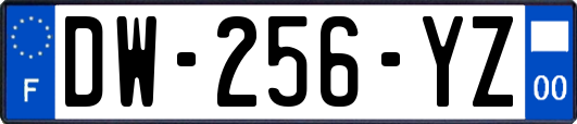 DW-256-YZ