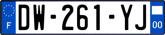 DW-261-YJ