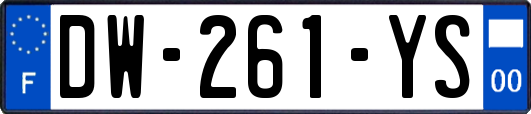 DW-261-YS