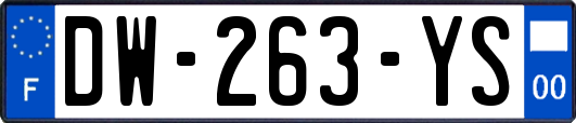DW-263-YS