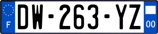 DW-263-YZ