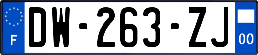 DW-263-ZJ