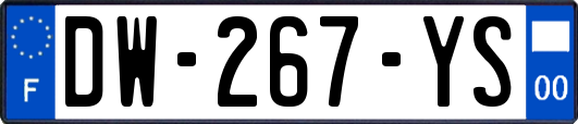 DW-267-YS