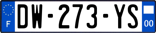 DW-273-YS