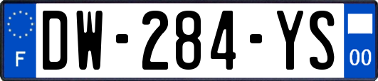 DW-284-YS