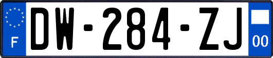 DW-284-ZJ