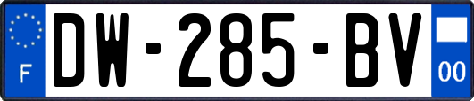 DW-285-BV