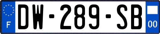 DW-289-SB