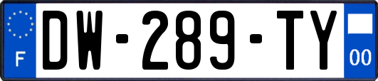 DW-289-TY