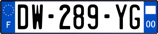DW-289-YG