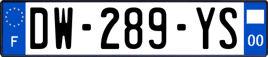 DW-289-YS