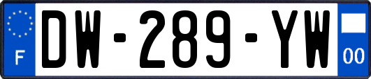 DW-289-YW