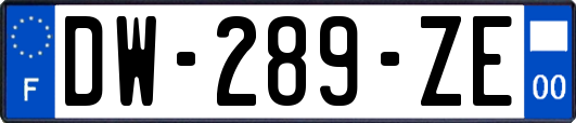 DW-289-ZE