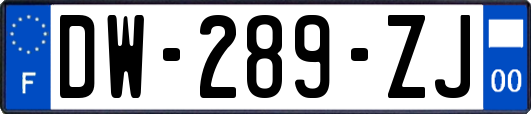 DW-289-ZJ