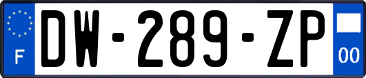 DW-289-ZP