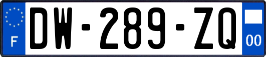 DW-289-ZQ