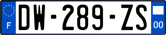 DW-289-ZS