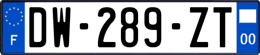 DW-289-ZT