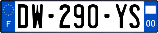 DW-290-YS