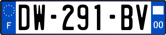 DW-291-BV