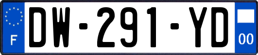 DW-291-YD