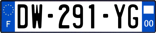 DW-291-YG