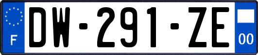 DW-291-ZE