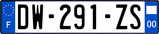 DW-291-ZS