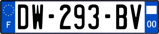 DW-293-BV