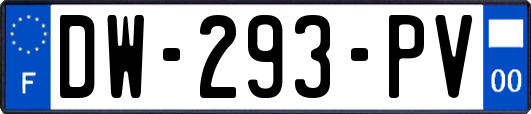 DW-293-PV