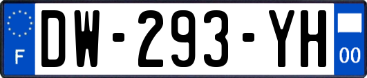 DW-293-YH