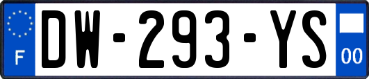 DW-293-YS