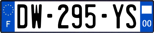 DW-295-YS